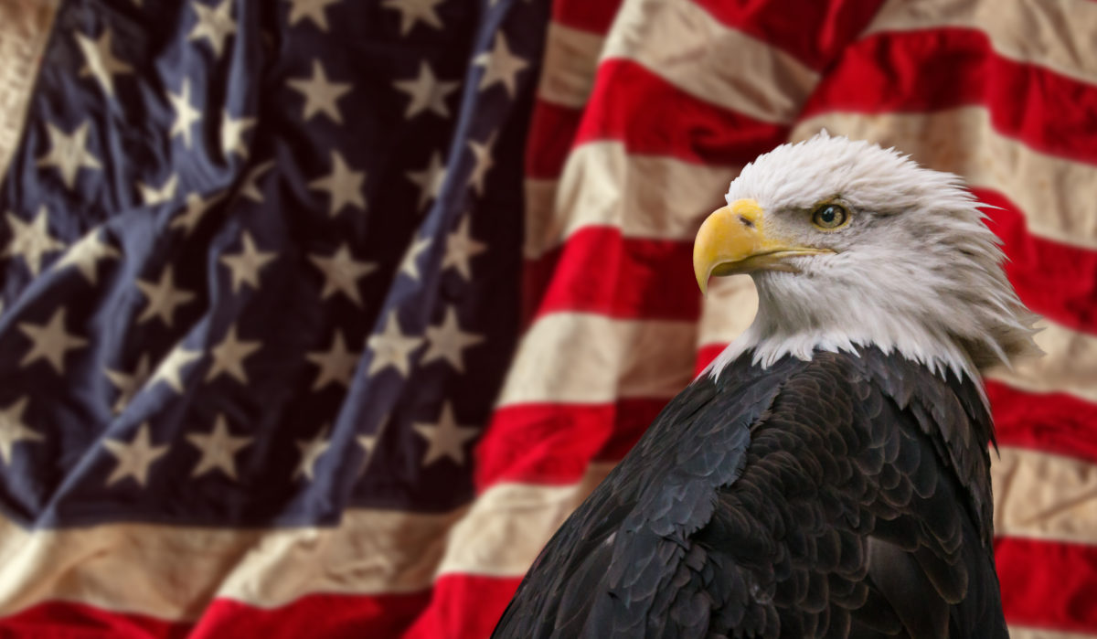 bald eagle american flag scaled