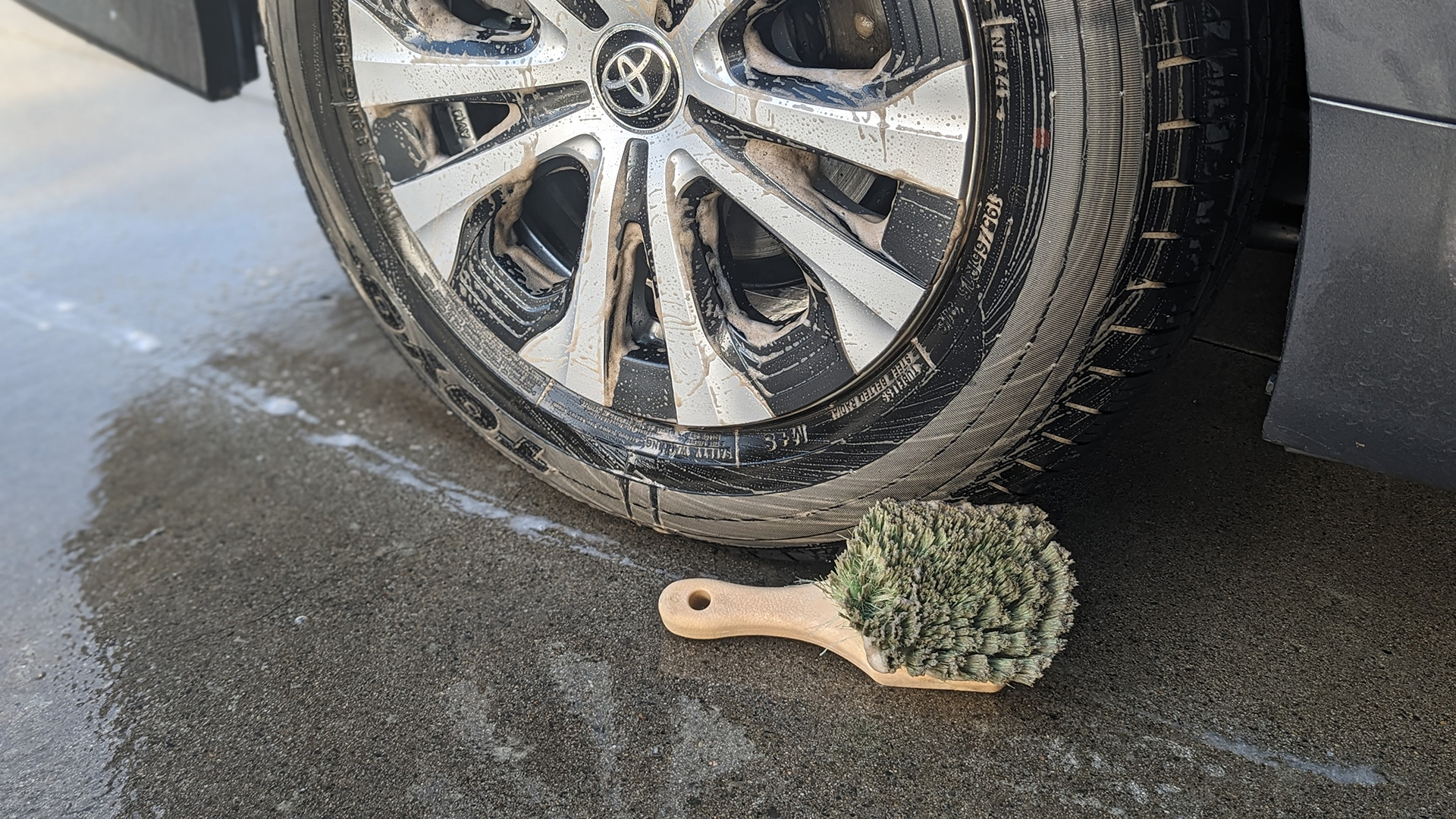 Chemical Guys Wheelie Wheel & Tire Brush, Green